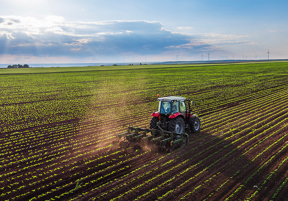 We make connections that improve the lives of everyone.