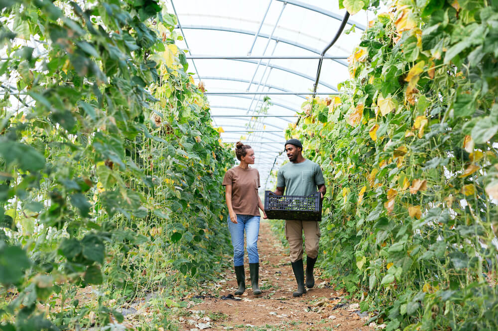 We ‘lean green’ so 
you can too.