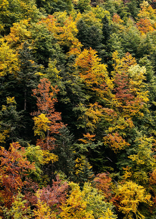 BETTER IS OUT THERE. We’re here to find it.