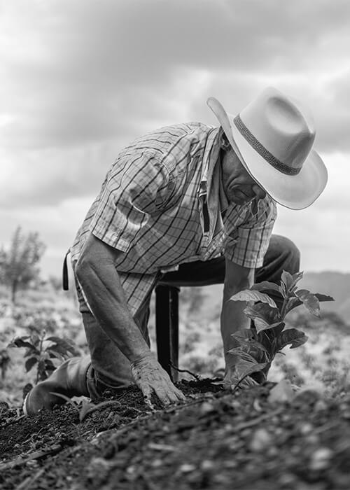 THE FUTURE IS ORGANIC. WE'LL HELP YOU GET THERE.