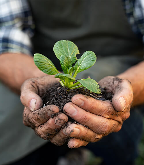 THE FUTURE IS ORGANIC. WE'LL HELP YOU GET THERE.