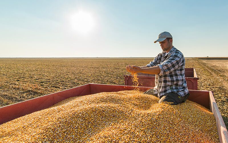 Organic & Conventional Food