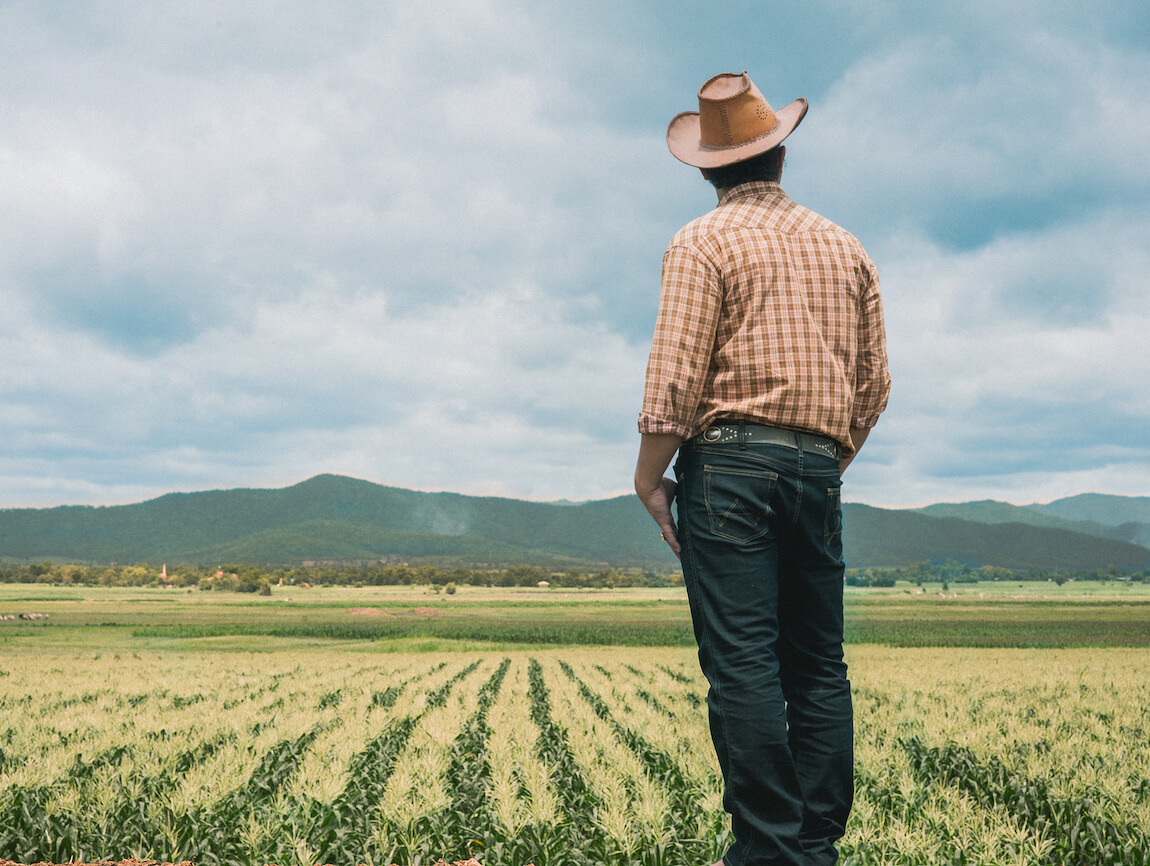 Organic food
and feed