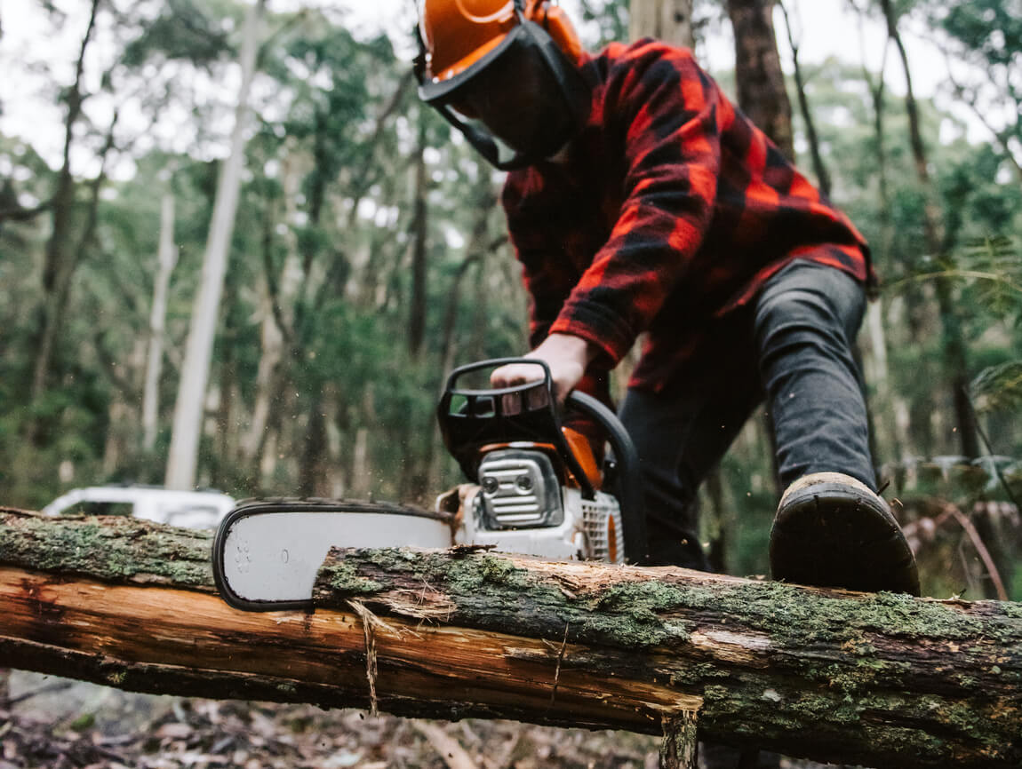 Sustainable
forestry