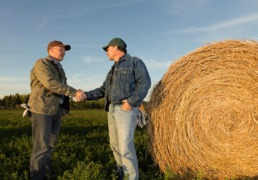 Our team is your team.